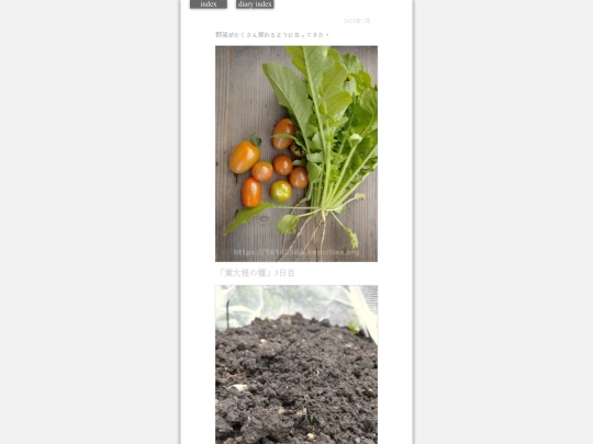 2023/hadaikon2023jul3 screenshot