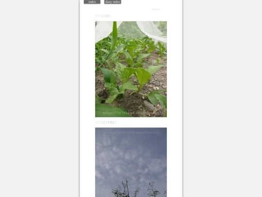 2023/hadaikon2023jul31 screenshot