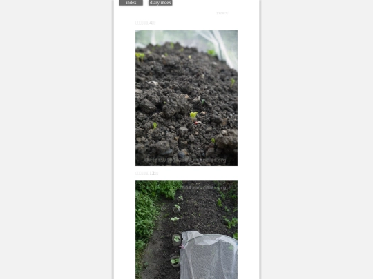 2023/hadaikon2023jul4 screenshot