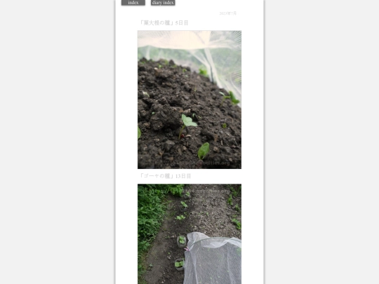 2023/hadaikon2023jul5 screenshot