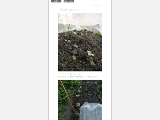 2023/hadaikon2023jul6 screenshot