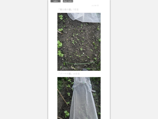 2023/hadaikon2023jul7 screenshot