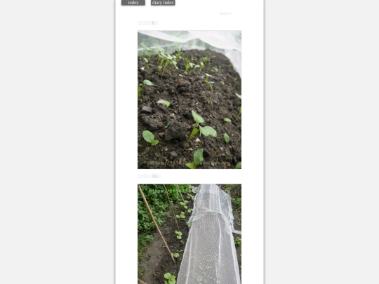2023/hadaikon2023jul8 screenshot