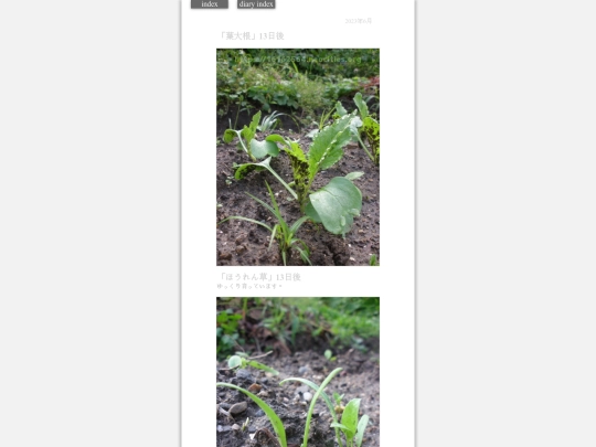 2023/hadaikon2023jun1 screenshot