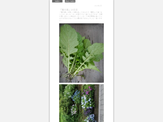 2023/hadaikon2023jun11 screenshot