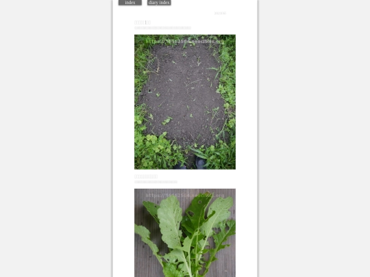 2023/hadaikon2023jun13 screenshot
