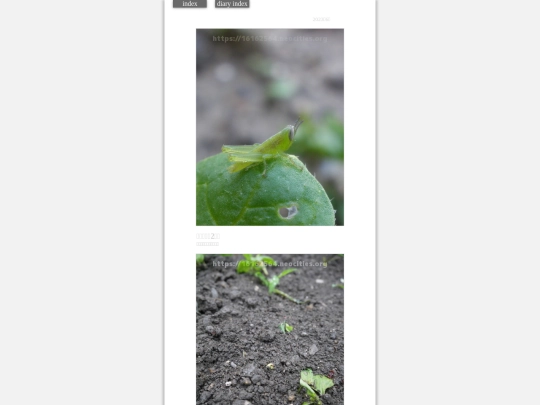 2023/hadaikon2023jun14 screenshot