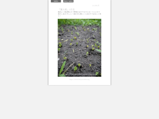 2023/hadaikon2023jun15 screenshot