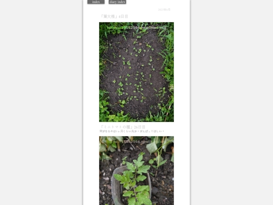 2023/hadaikon2023jun16 screenshot