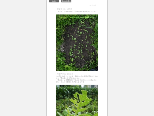 2023/hadaikon2023jun17 screenshot