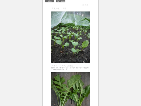 2023/hadaikon2023jun19 screenshot