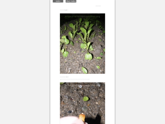 2023/hadaikon2023jun2 screenshot