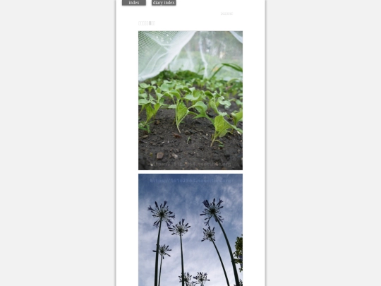 2023/hadaikon2023jun20 screenshot