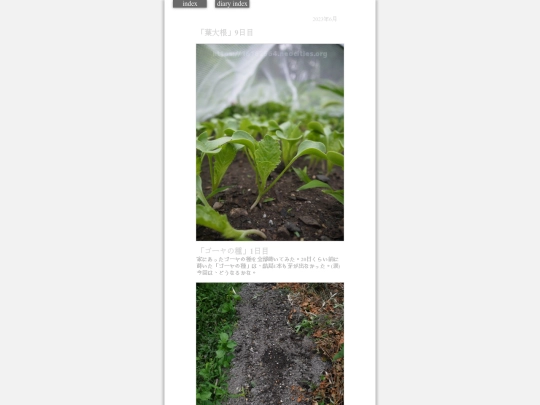2023/hadaikon2023jun21 screenshot