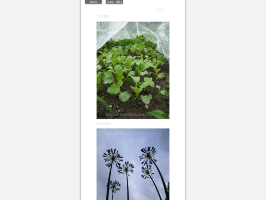 2023/hadaikon2023jun22 screenshot