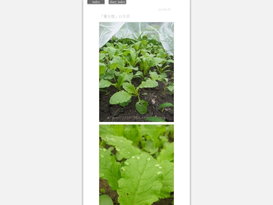 2023/hadaikon2023jun23 screenshot