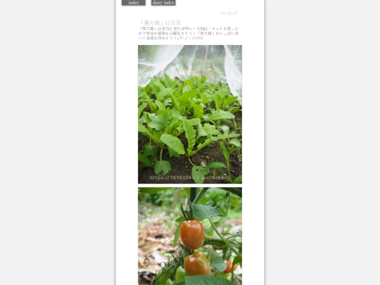 2023/hadaikon2023jun24 screenshot