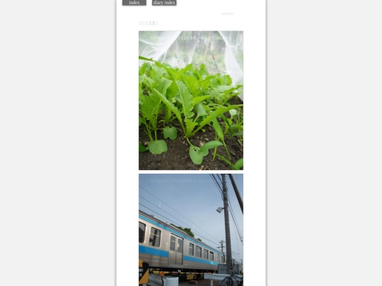 2023/hadaikon2023jun25 screenshot