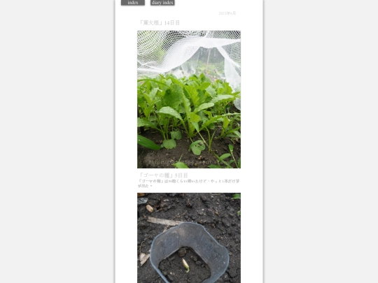 2023/hadaikon2023jun26 screenshot