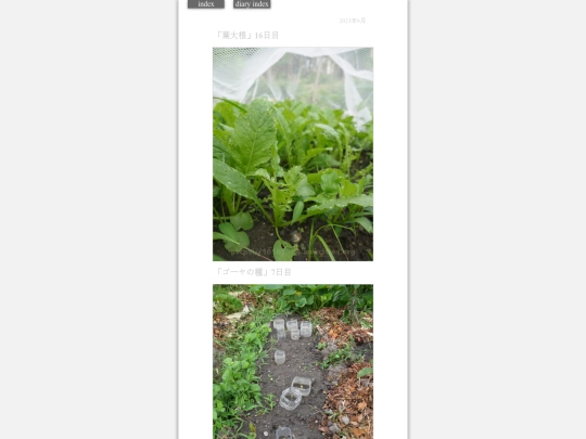 2023/hadaikon2023jun28 screenshot