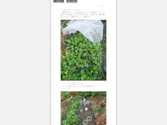 2023/hadaikon2023jun29 screenshot