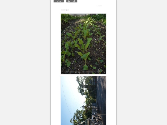 2023/hadaikon2023jun4 screenshot