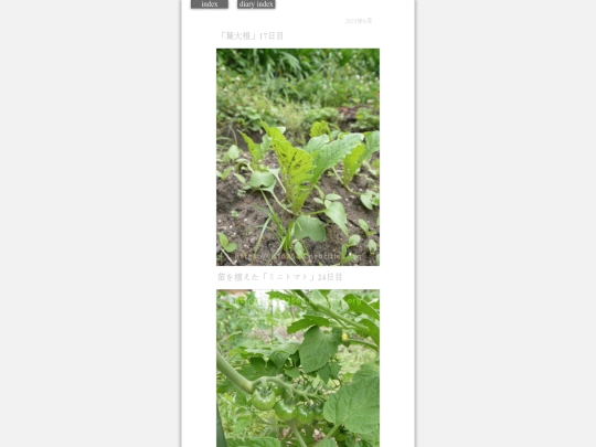 2023/hadaikon2023jun5 screenshot