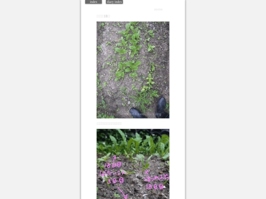 2023/hadaikon2023jun6 screenshot