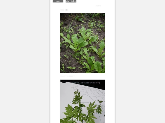 2023/hadaikon2023jun7 screenshot