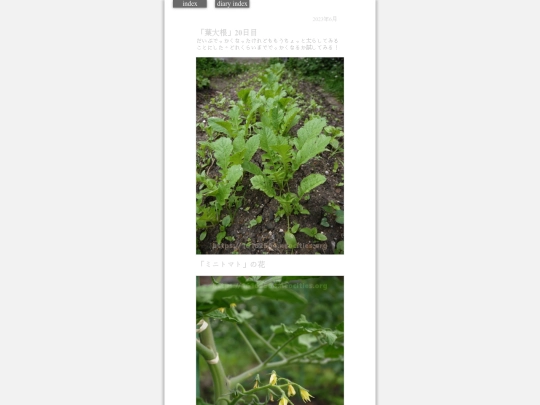2023/hadaikon2023jun8 screenshot