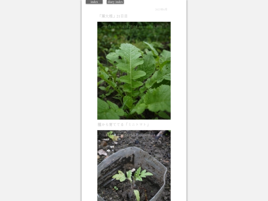2023/hadaikon2023jun9 screenshot