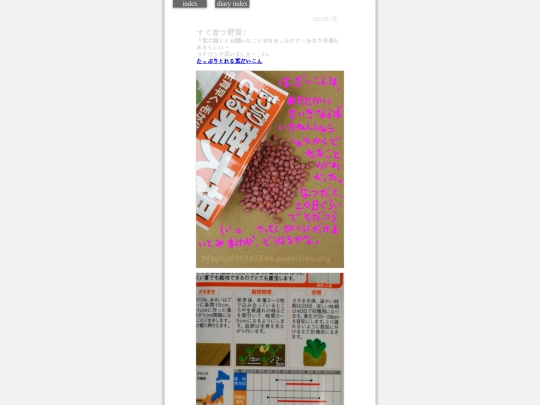 2023/hadaikon2023may1 screenshot