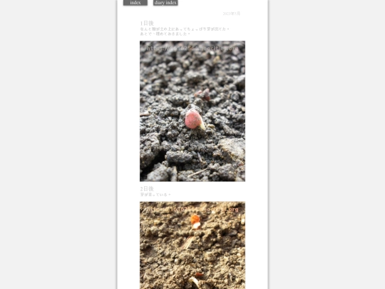 2023/hadaikon2023may22 screenshot
