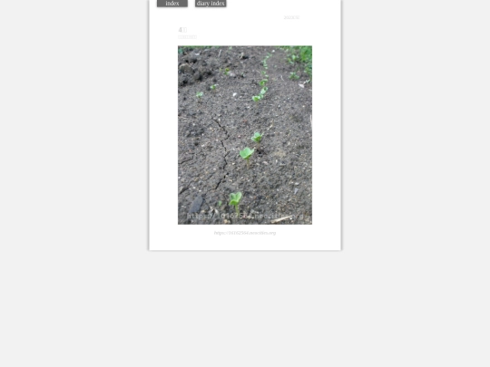 2023/hadaikon2023may24 screenshot