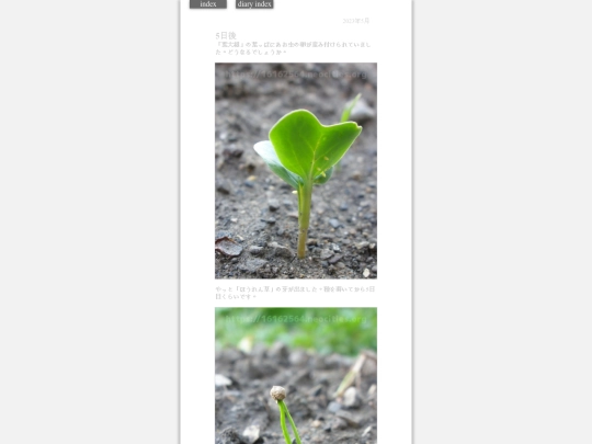 2023/hadaikon2023may25 screenshot