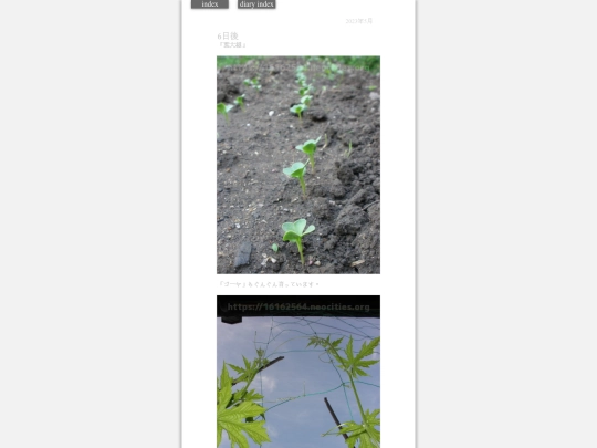 2023/hadaikon2023may26 screenshot