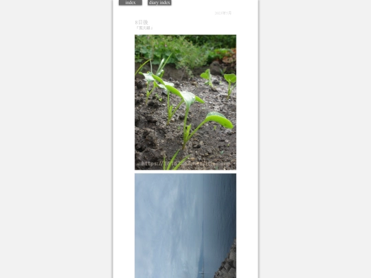 2023/hadaikon2023may28 screenshot