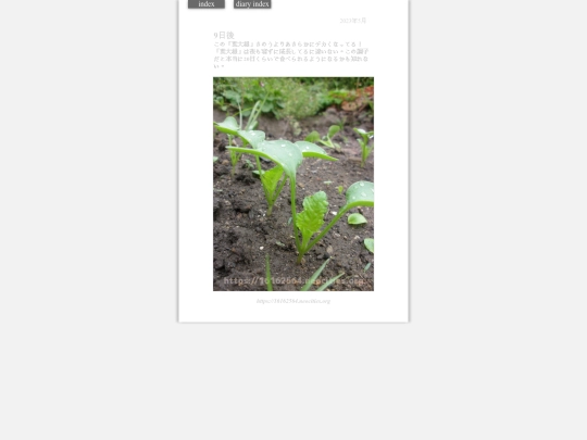 2023/hadaikon2023may29 screenshot