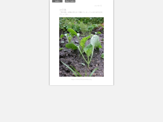 2023/hadaikon2023may30 screenshot