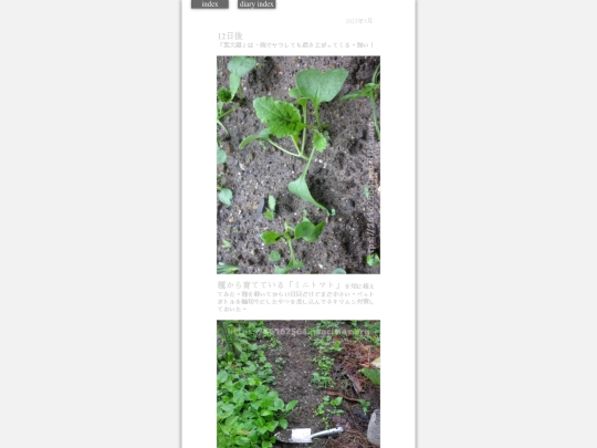 2023/hadaikon2023may31 screenshot