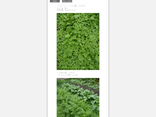 2023/hadaikon2023nov10 screenshot