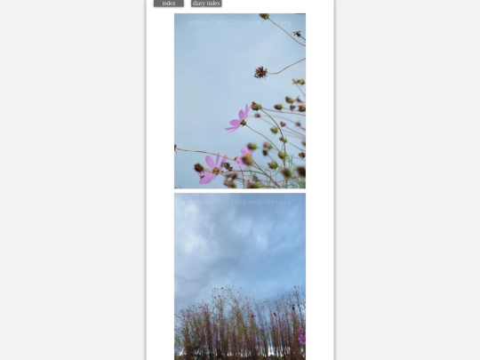 2023/hadaikon2023nov11 screenshot