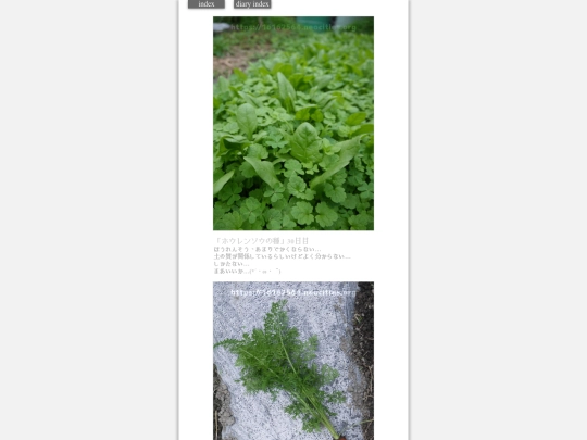 2023/hadaikon2023nov15 screenshot
