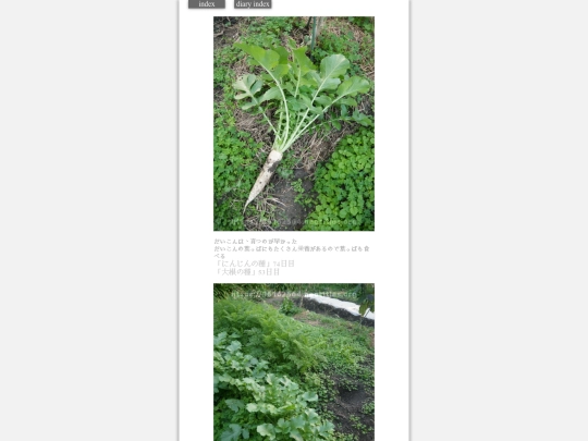 2023/hadaikon2023nov16 screenshot
