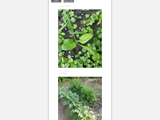 2023/hadaikon2023nov2 screenshot