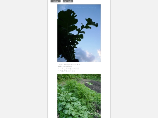 2023/hadaikon2023nov20 screenshot