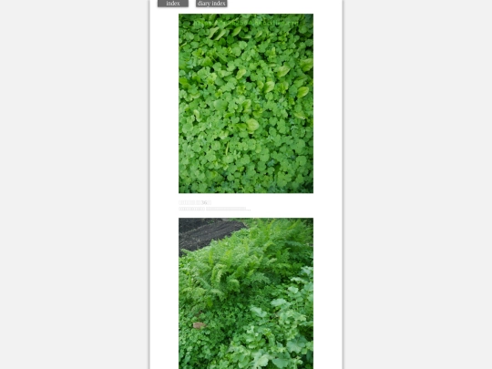 2023/hadaikon2023nov21 screenshot