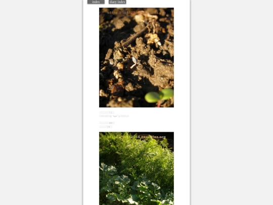 2023/hadaikon2023nov22 screenshot