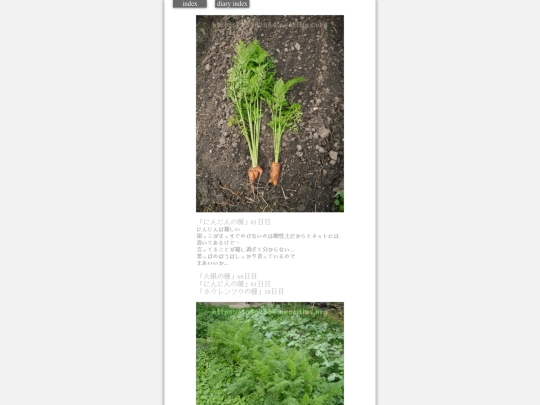 2023/hadaikon2023nov23 screenshot