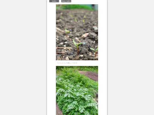 2023/hadaikon2023nov27 screenshot